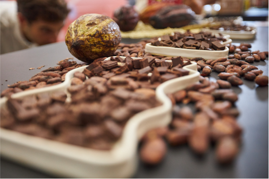 23-04-11_12H_ANUFOOD_INDY9946