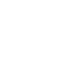 havaianas-b