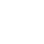 schmidt-b