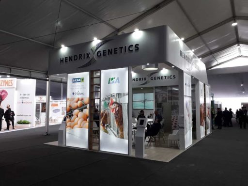 Hendrix Genetics